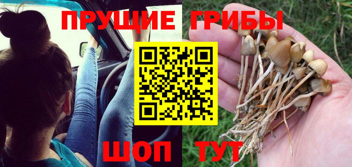 Галлюциногенные грибы Cubensis  Вход с VPN  Омск 